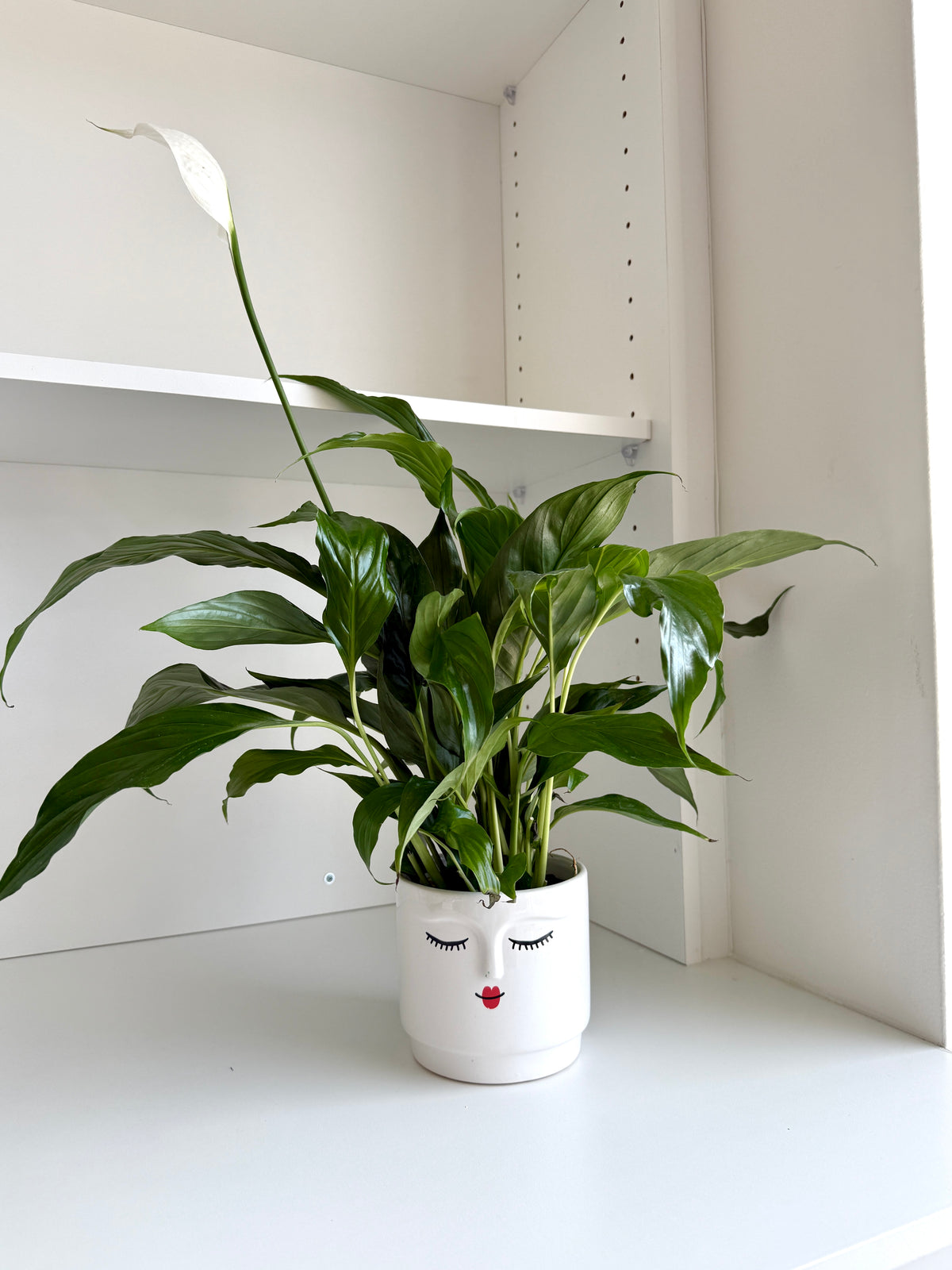 Ceramic Pot with Face