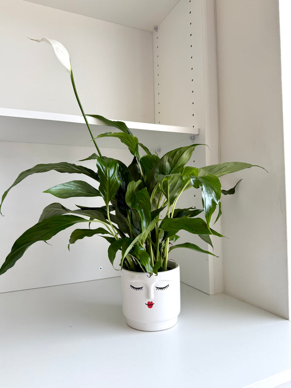 Ceramic Pot with Face