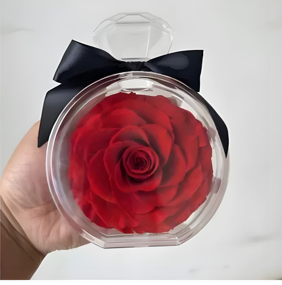 Red Preserved Rose