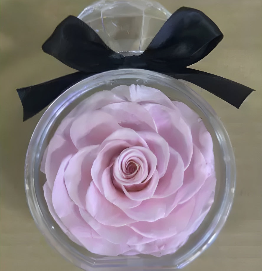 Pink Preserved Rose