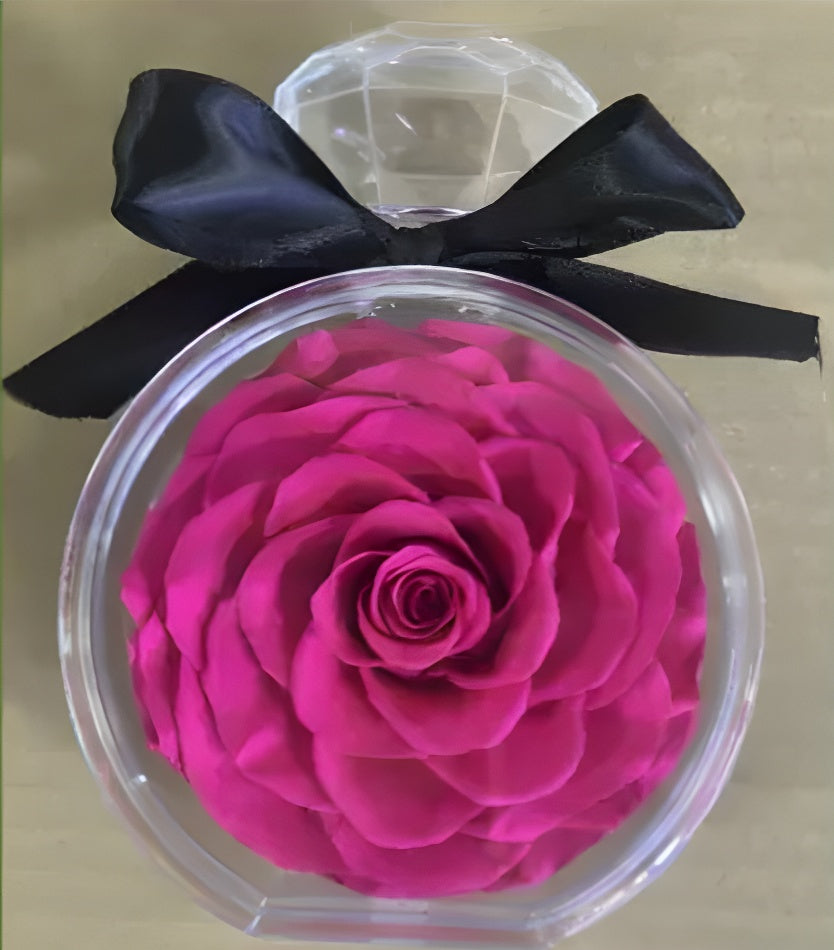 Magenta Preserved Rose