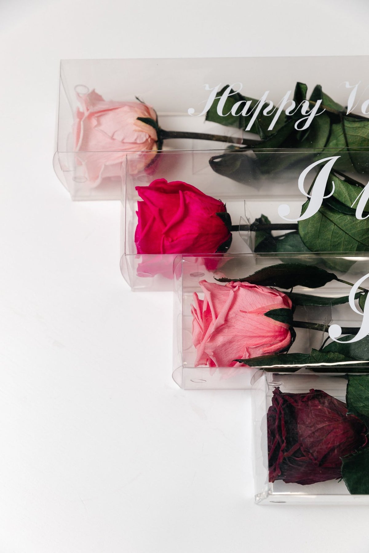 Single Long Preserved Rose